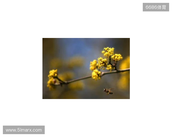 布达佩斯Major第一阶段：战舰轰鸣！FaZe 2-1 RED Canids