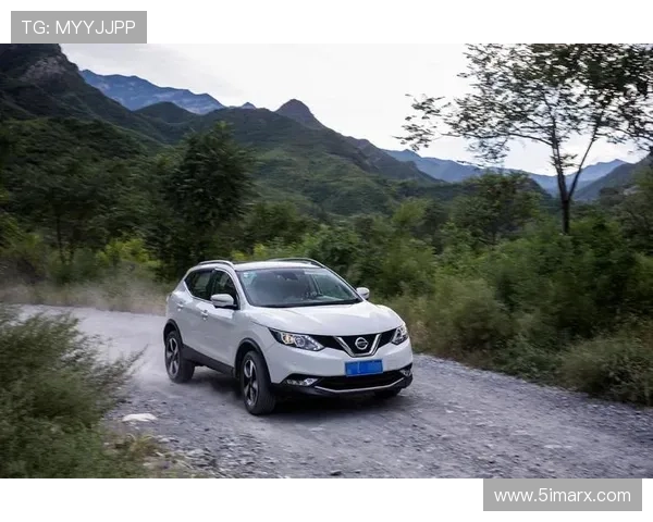 2.9分钟1辆 零过渡期全新逍客领跑15万级合资SUV半年销量排行