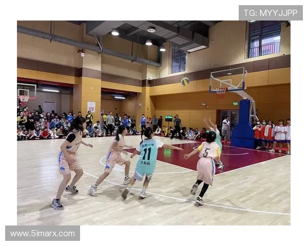 全国青年女子篮球联赛（全国青年女子篮球联赛在张家界）sports